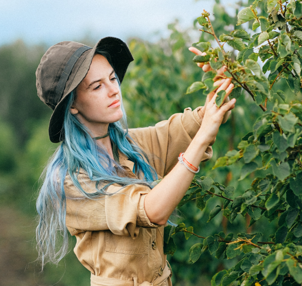 {{brizy_dc_image_alt imageSrc=